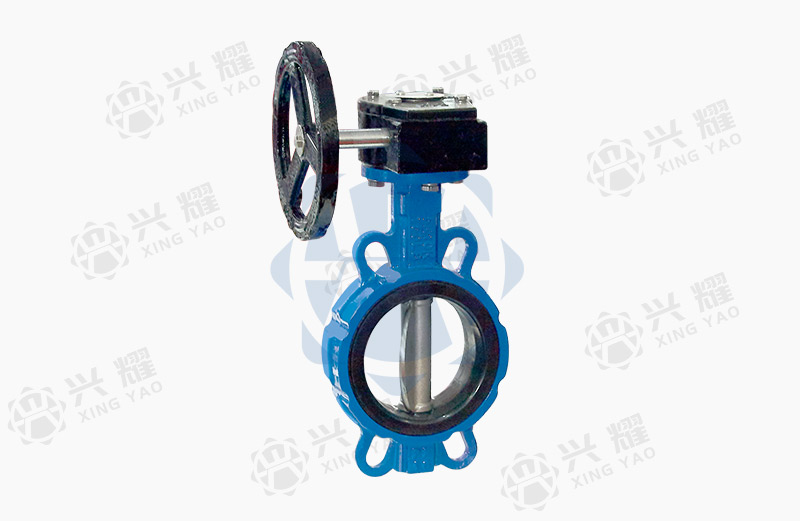 Turbine pair clip butterfly valve